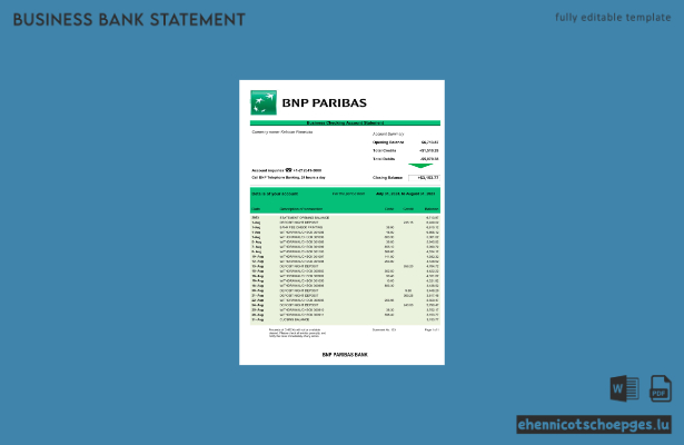 Beispielvorschau für den Geschäftsbericht der Bank BNP Paribas (Word- und PDF-Format)